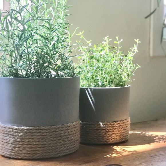 Flower Pot - Picture 6 of 6